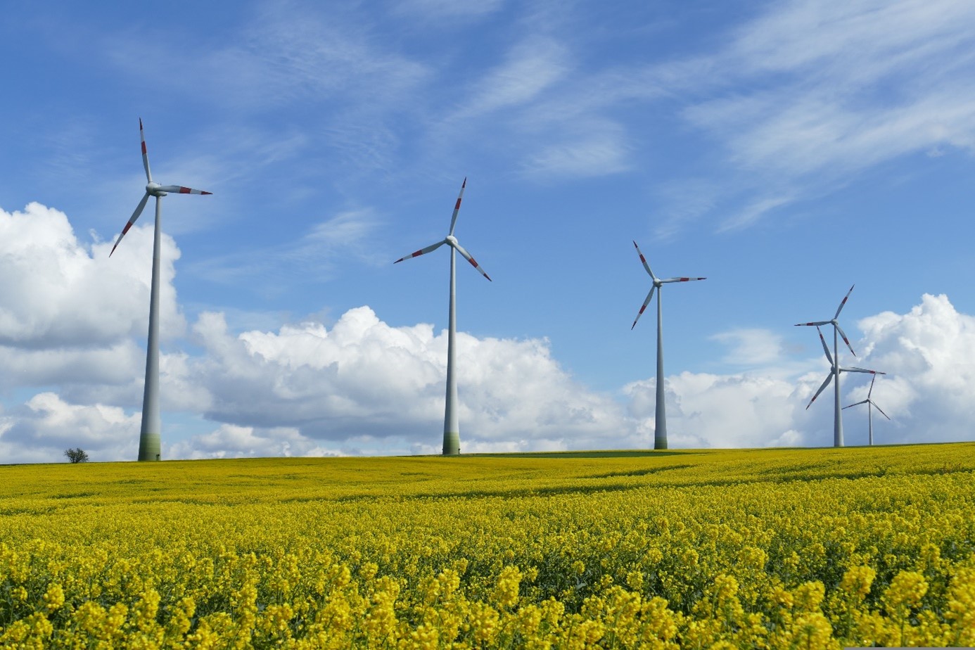 Boombranche: Mit Windenergie lässt sich in Schleswig-Holstein lässt sich eine gute Wertschöpfung erzielen – davon profitiert auch M.O.E. aus Itzehoe.